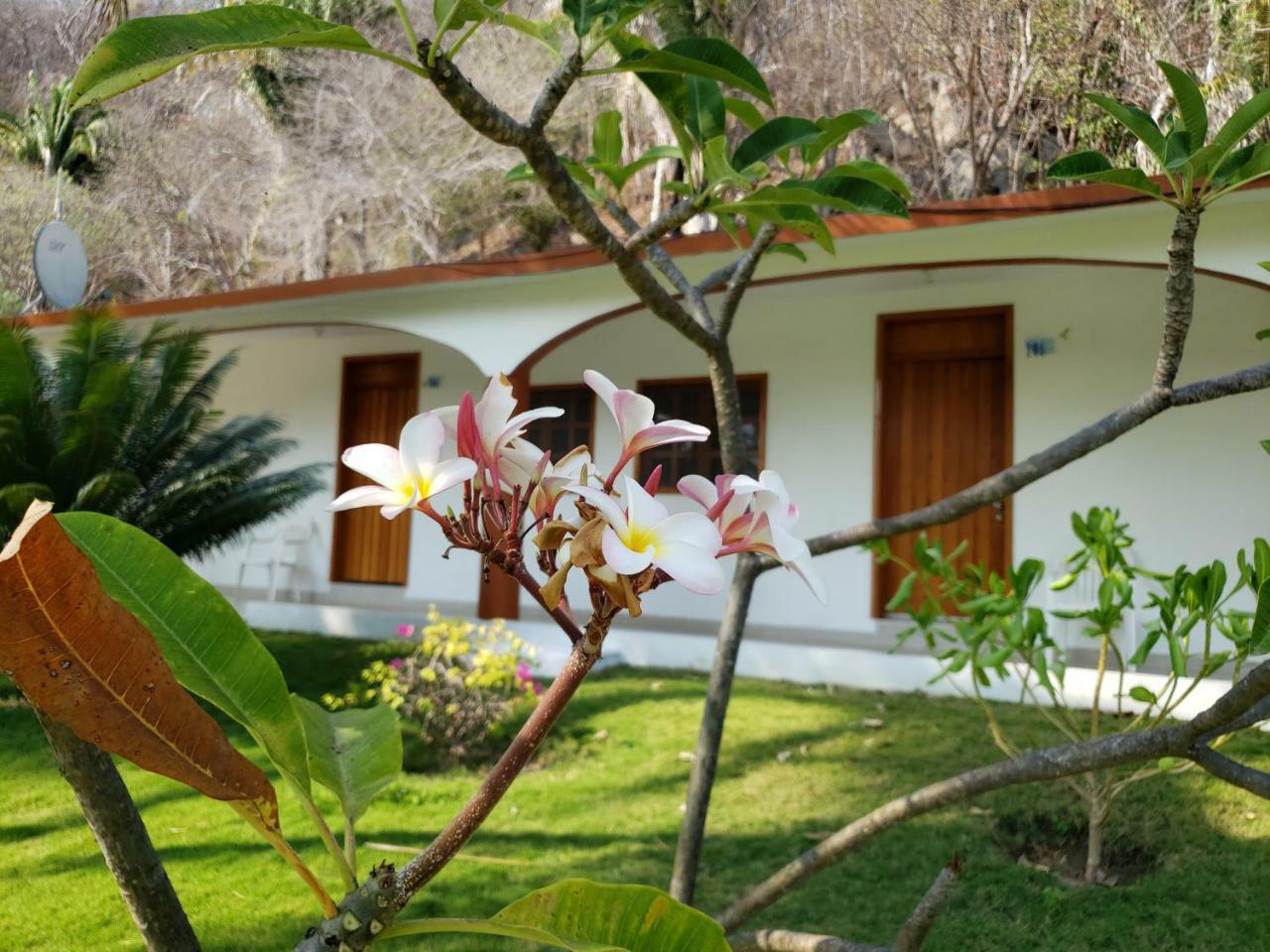 Hotel Y Club Campestre Altos Paraiso 埃斯孔迪多港 外观 照片
