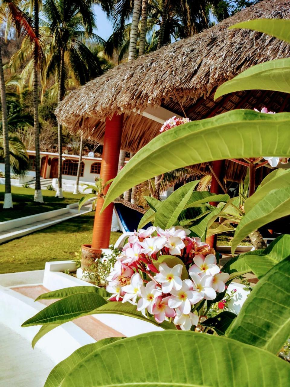 Hotel Y Club Campestre Altos Paraiso 埃斯孔迪多港 外观 照片