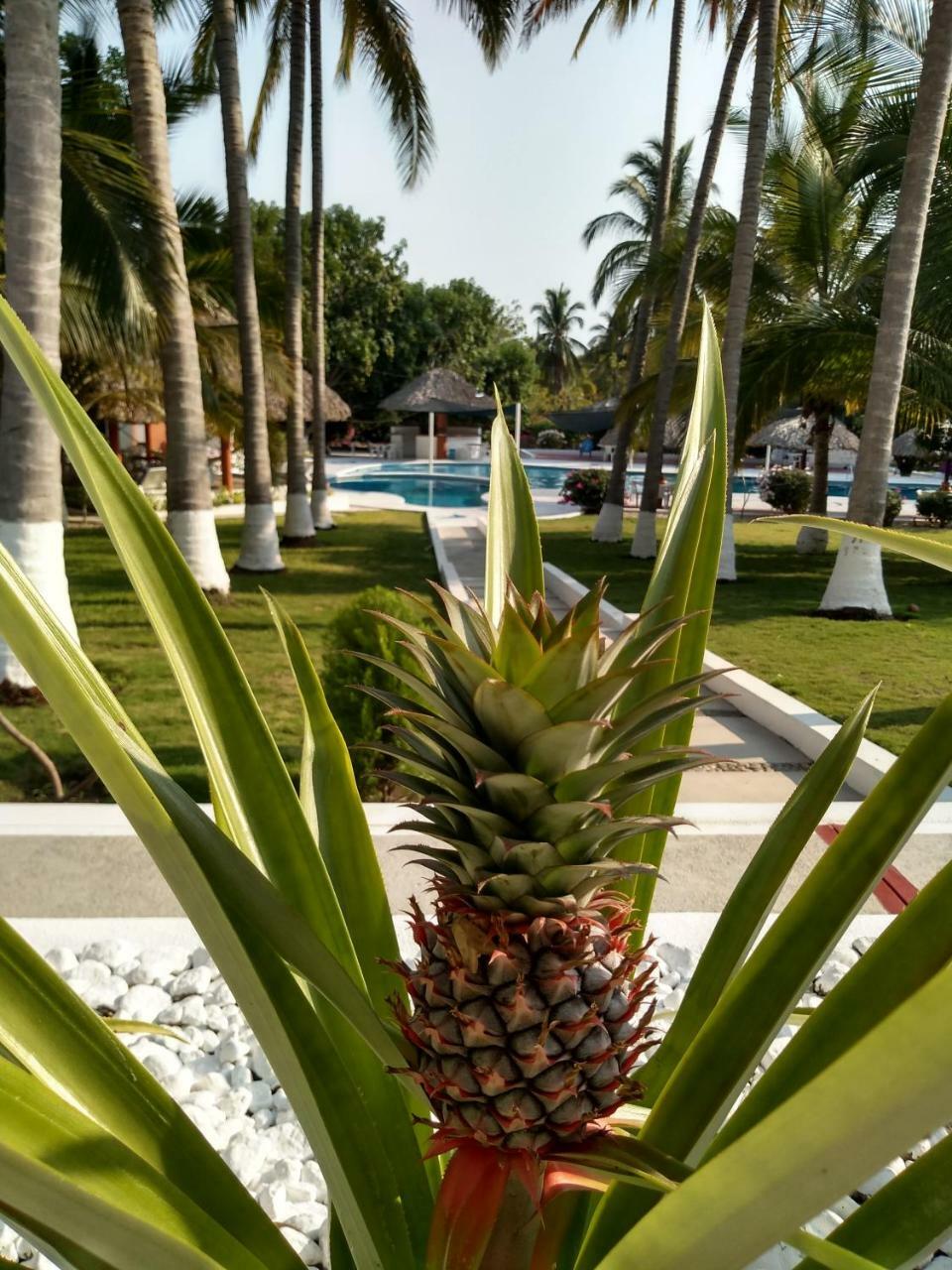 Hotel Y Club Campestre Altos Paraiso 埃斯孔迪多港 外观 照片